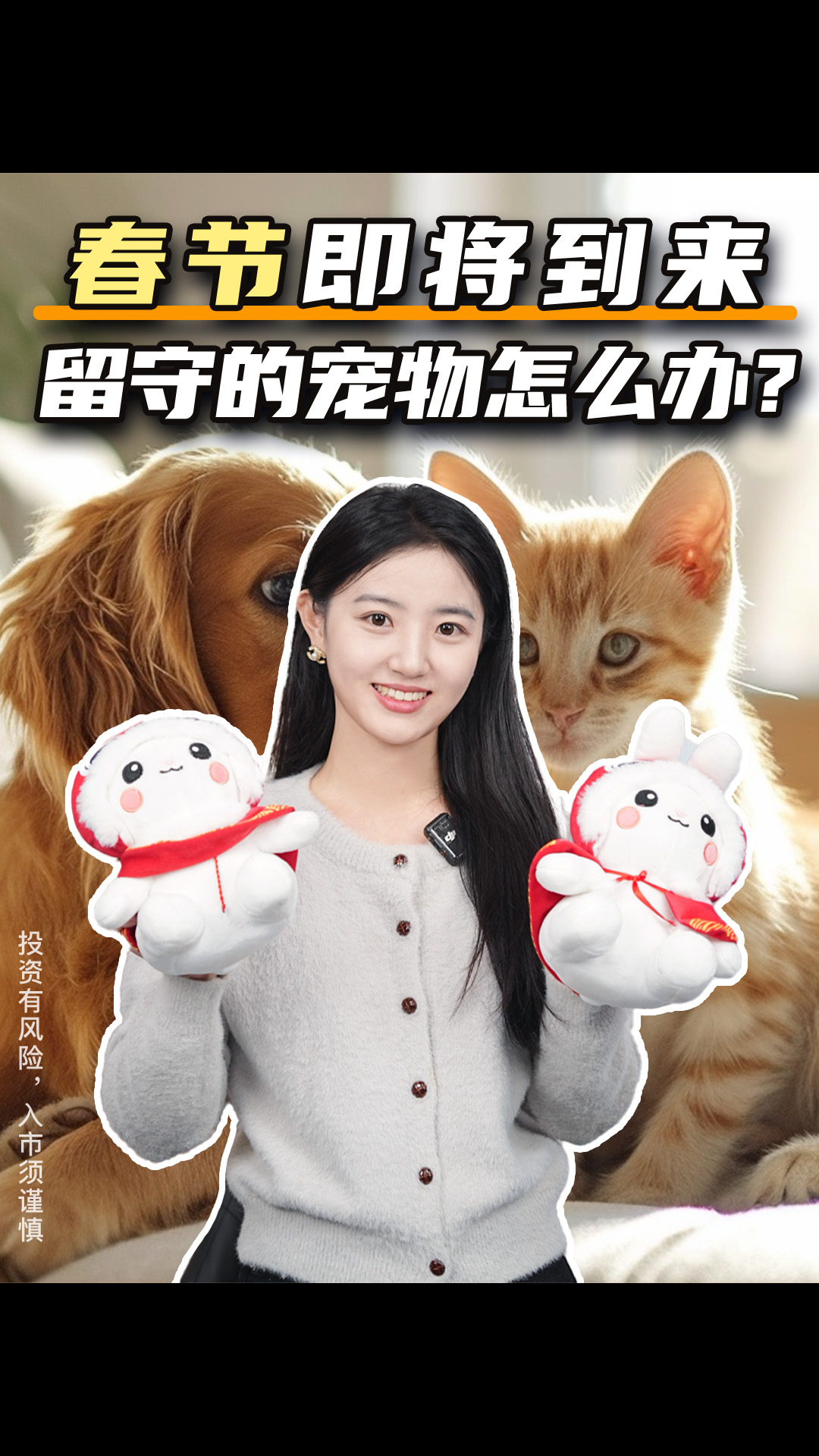 春节即将到来！留守的宠物怎么办？