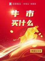 牛市买什么